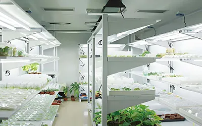 Laboratori amb temperatura constant i planificació de control